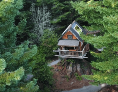 Amazing Stump TreeHouse with Private Outdoor Living